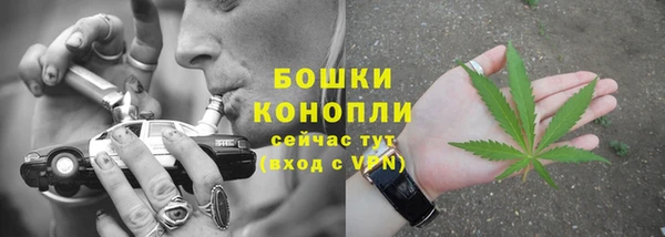 ALPHA PVP Ельня