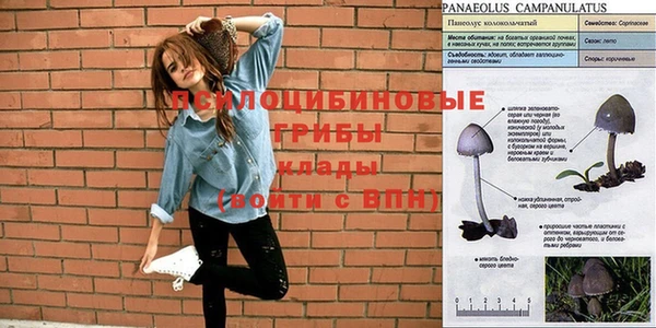 дурь Елабуга