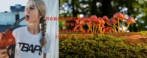 дурь Елабуга
