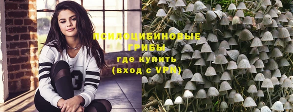 дурь Елабуга