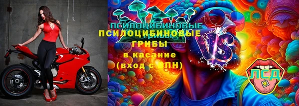 ALPHA PVP Ельня