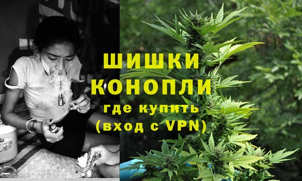 дурь Елабуга