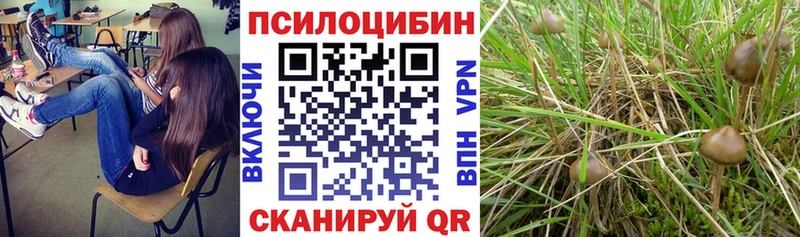 Псилоцибиновые грибы ЛСД купить сайты МЕГА ССЫЛКА Уссурийск