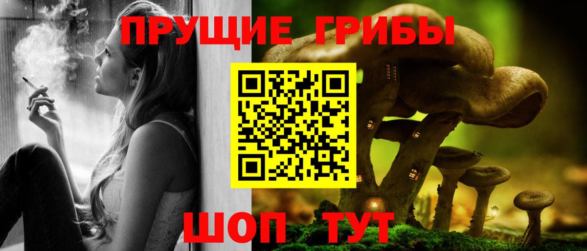 Псилоцибиновые грибы Psilocybe  Вход с VPN  Уссурийск 